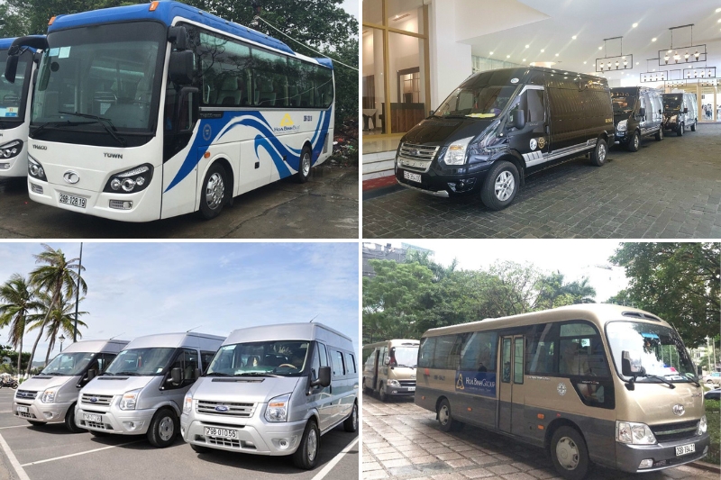 Variety of vehicle options for customers to choose from