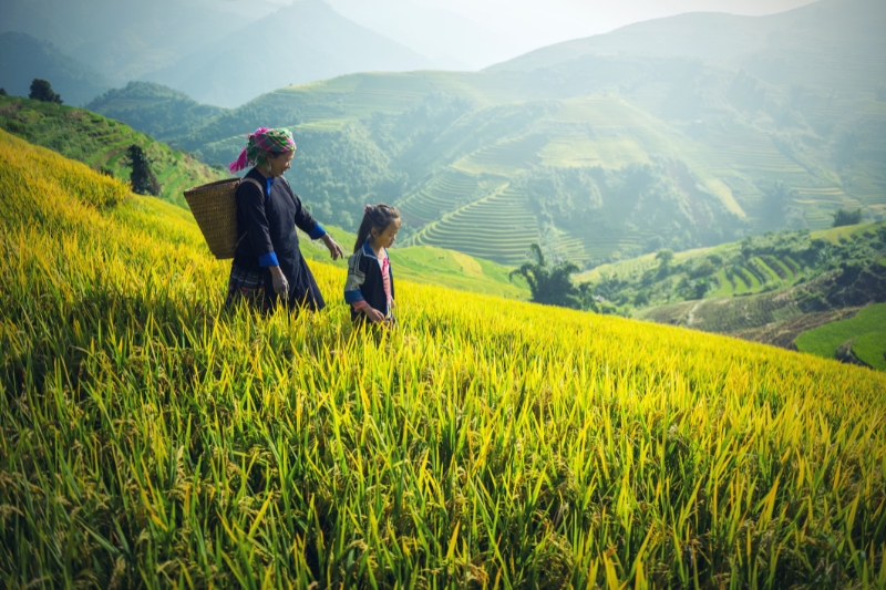 Car rental from Hanoi to Sapa