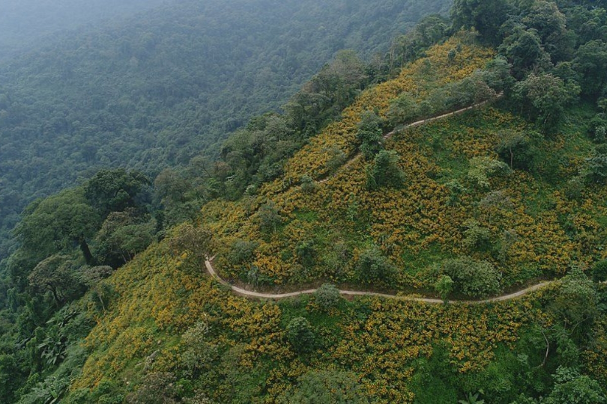 Ba Vi National Park, Hanoi